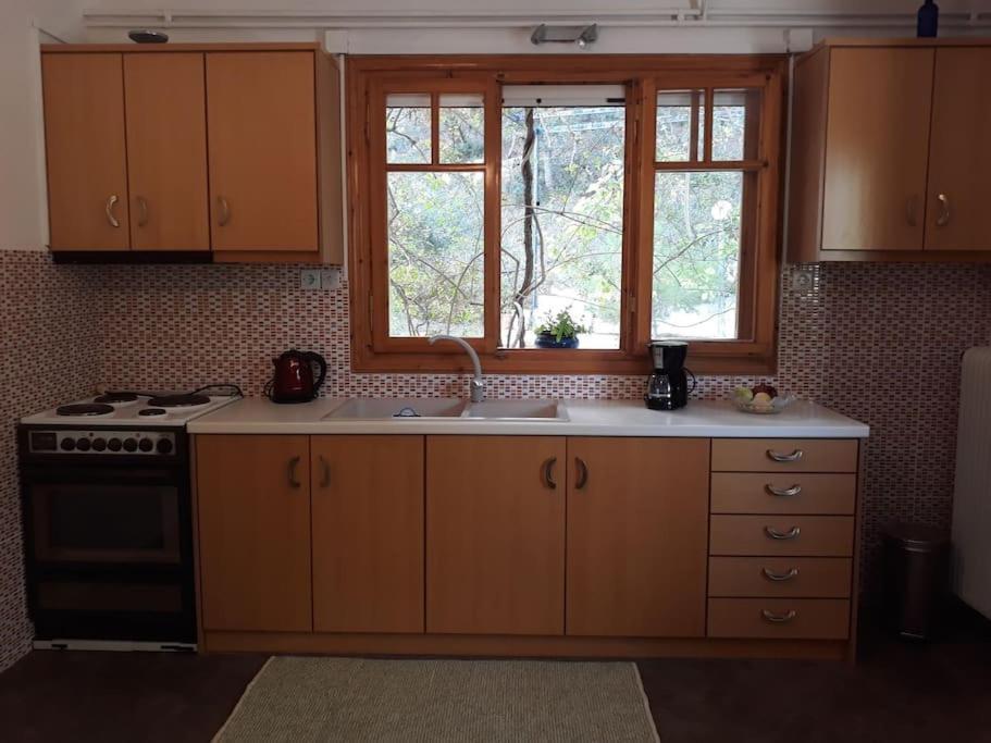 Apartamento Σπίτι Σε Ελαιώνα, House In An Olive Grove Ária Exterior foto