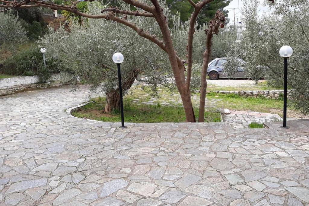 Apartamento Σπίτι Σε Ελαιώνα, House In An Olive Grove Ária Exterior foto