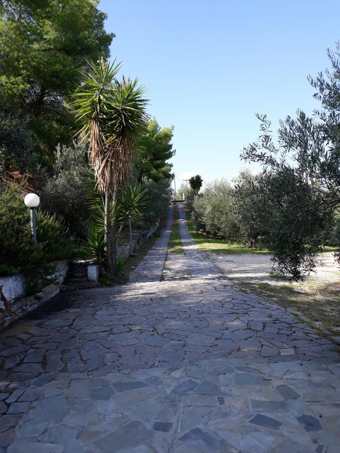 Apartamento Σπίτι Σε Ελαιώνα, House In An Olive Grove Ária Exterior foto