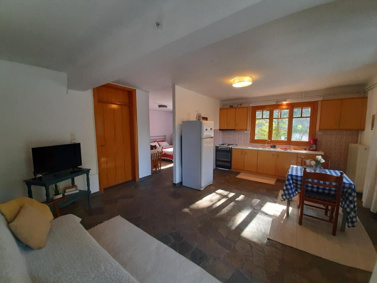 Apartamento Σπίτι Σε Ελαιώνα, House In An Olive Grove Ária Exterior foto