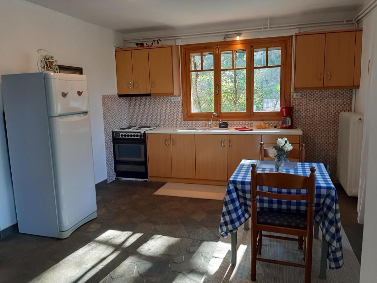 Apartamento Σπίτι Σε Ελαιώνα, House In An Olive Grove Ária Exterior foto